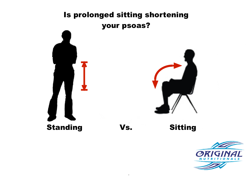 Переведи stand. V sit. Sitting and standing. Характеристика sit/a. Как правильно перевести sit to Stand.